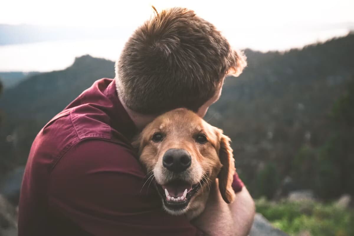 A man hugging his Golden Retriever affectionately